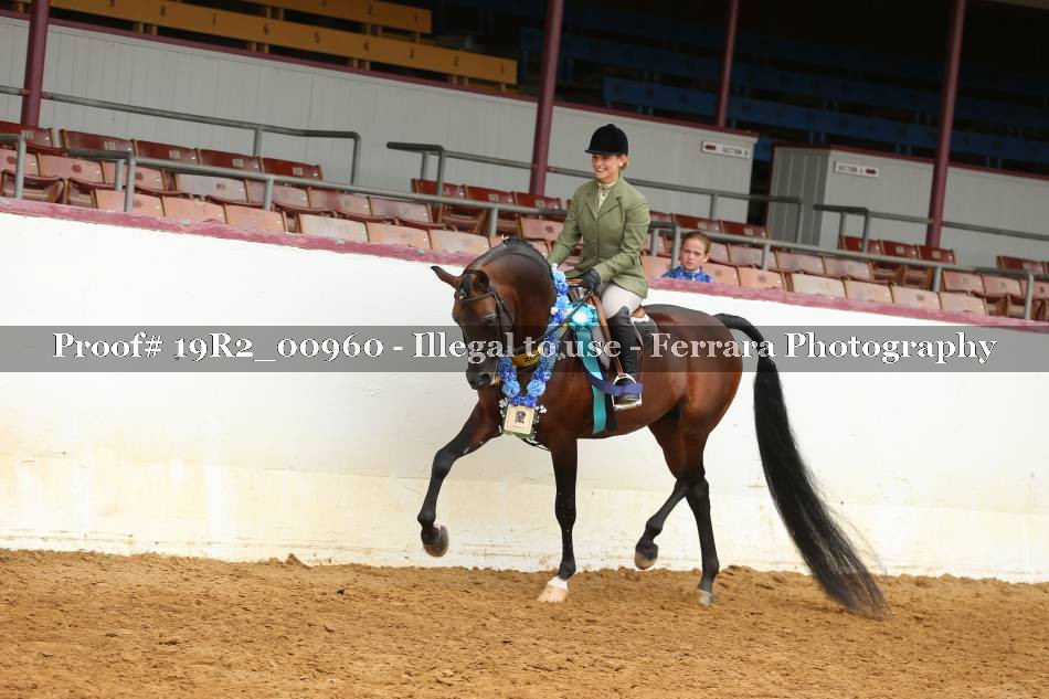 Proof 19R2_00960