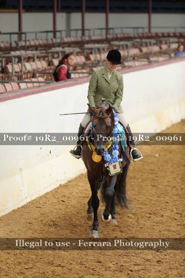 Proof 19R2_00961