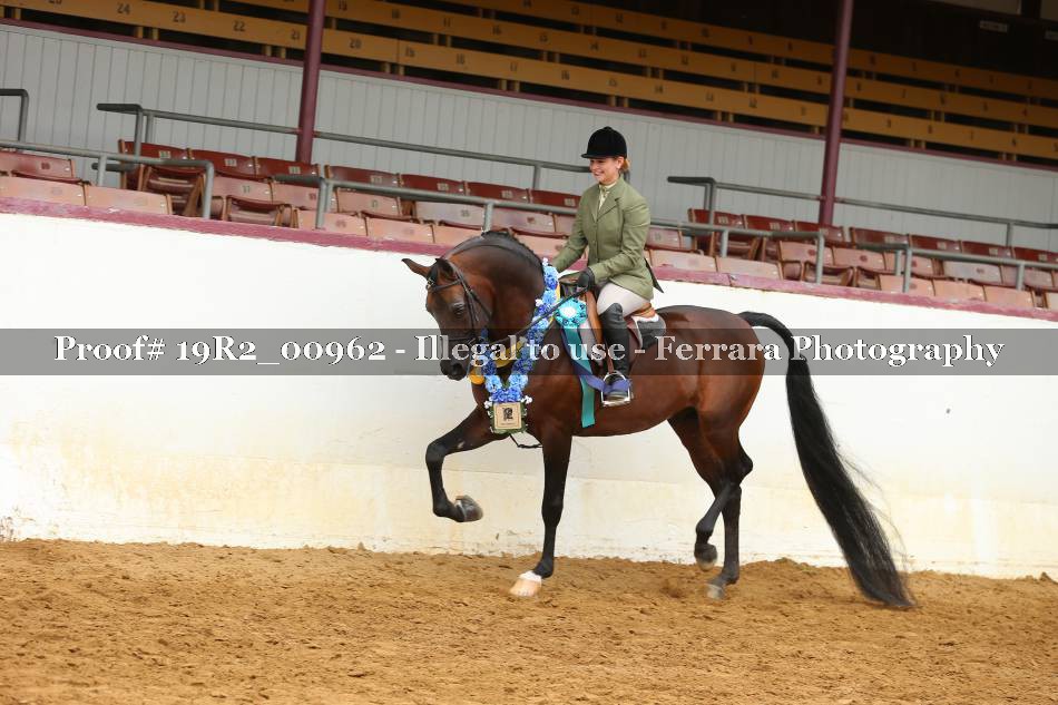 Proof 19R2_00962