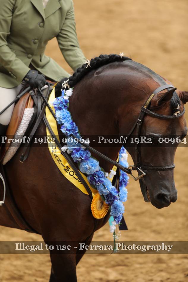Proof 19R2_00964