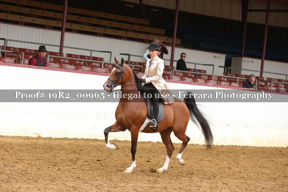 Proof 19R2_00965