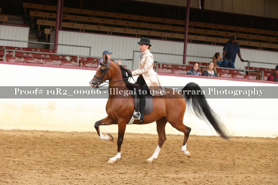 Proof 19R2_00966