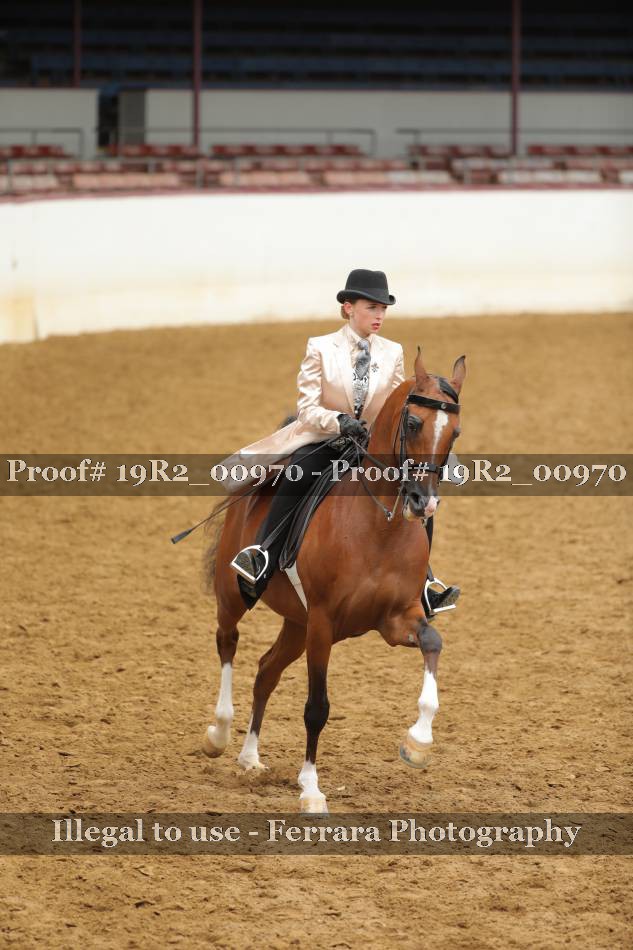 Proof 19R2_00970