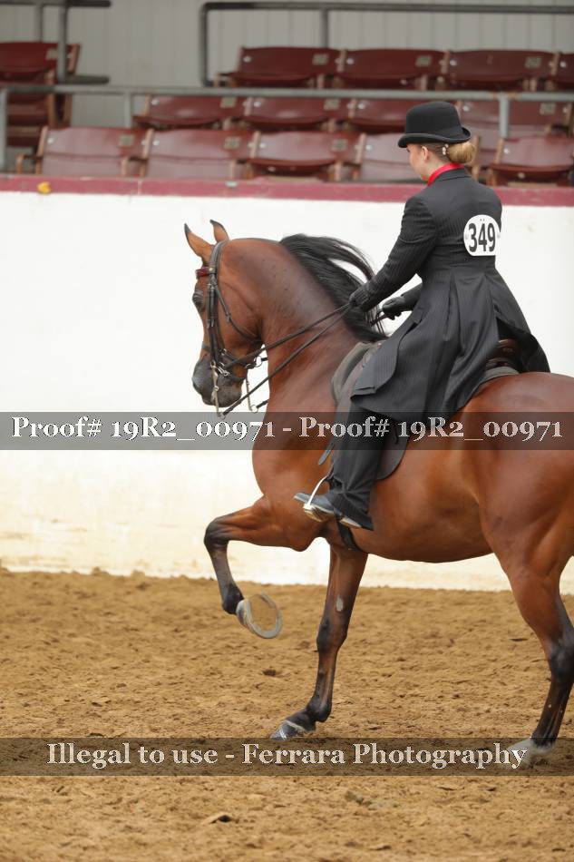 Proof 19R2_00971