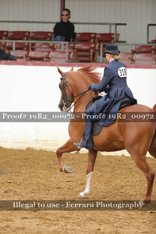 Proof 19R2_00972