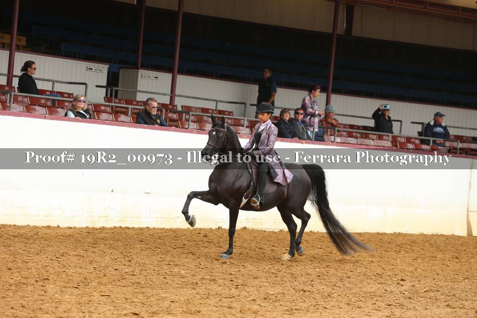 Proof 19R2_00973