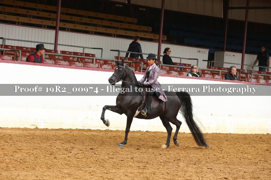 Proof 19R2_00974