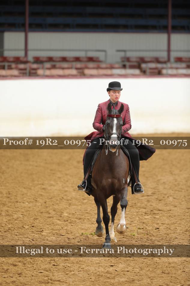 Proof 19R2_00975