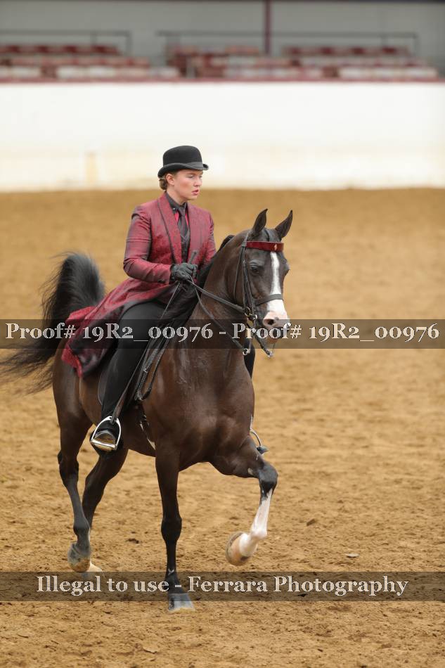 Proof 19R2_00976