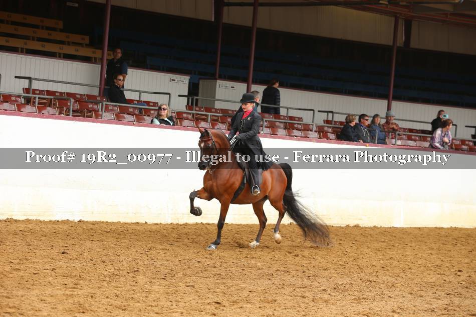 Proof 19R2_00977