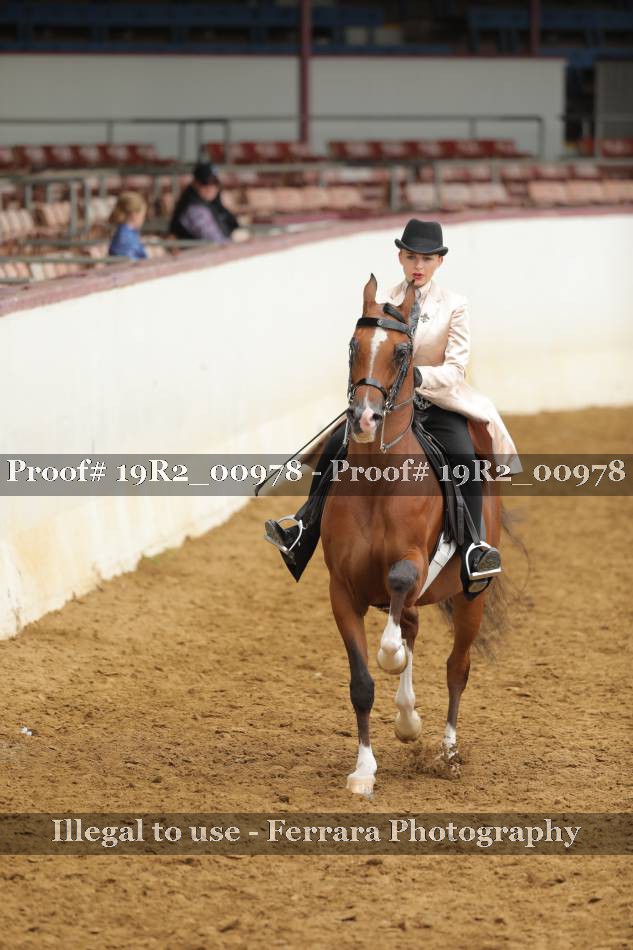 Proof 19R2_00978