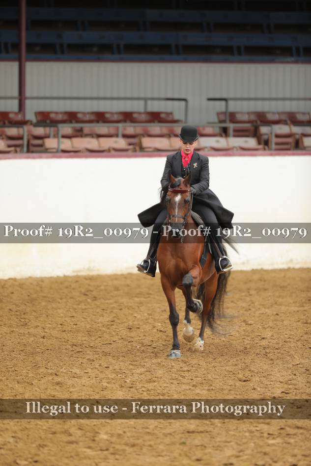 Proof 19R2_00979