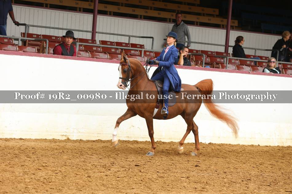 Proof 19R2_00980
