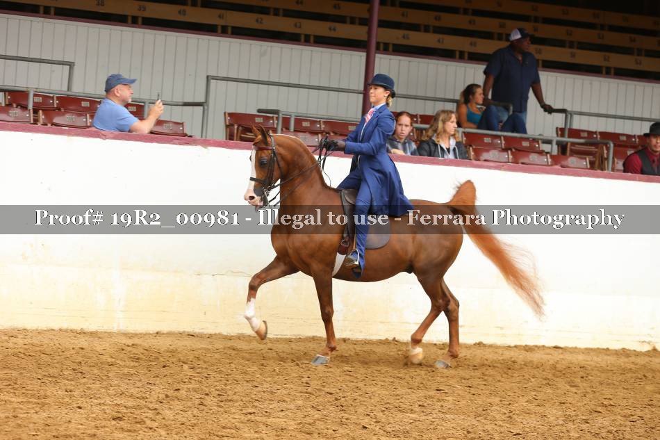 Proof 19R2_00981