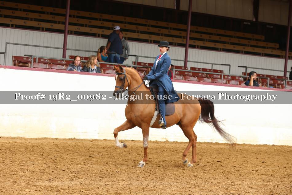 Proof 19R2_00982