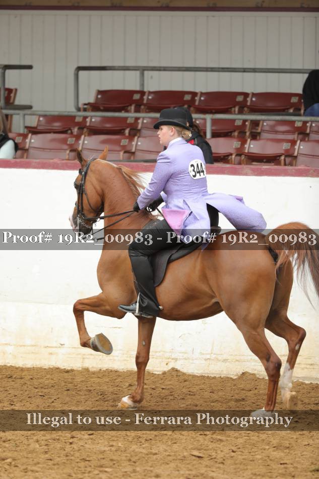 Proof 19R2_00983