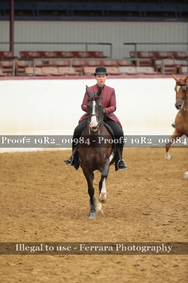 Proof 19R2_00984