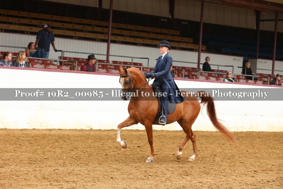 Proof 19R2_00985