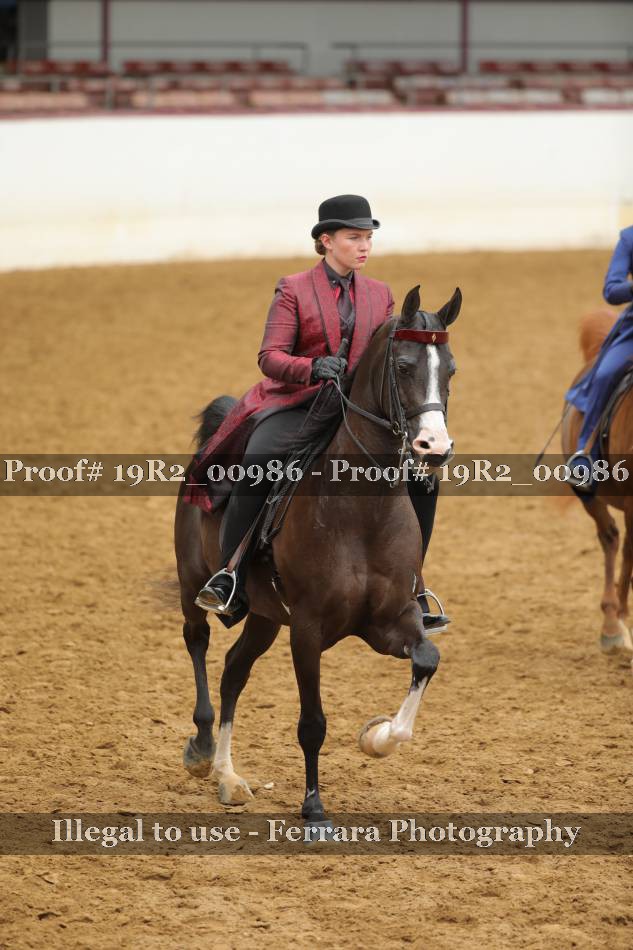 Proof 19R2_00986