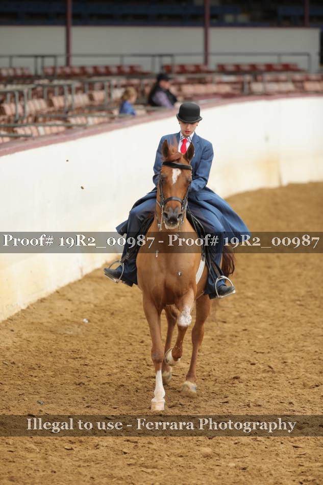Proof 19R2_00987