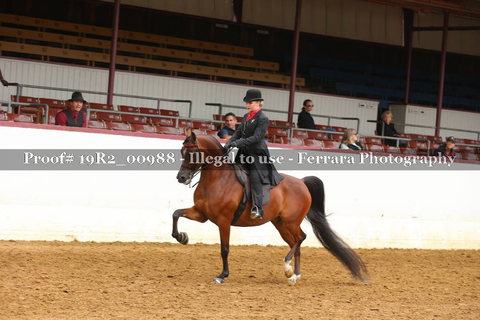 Proof 19R2_00988