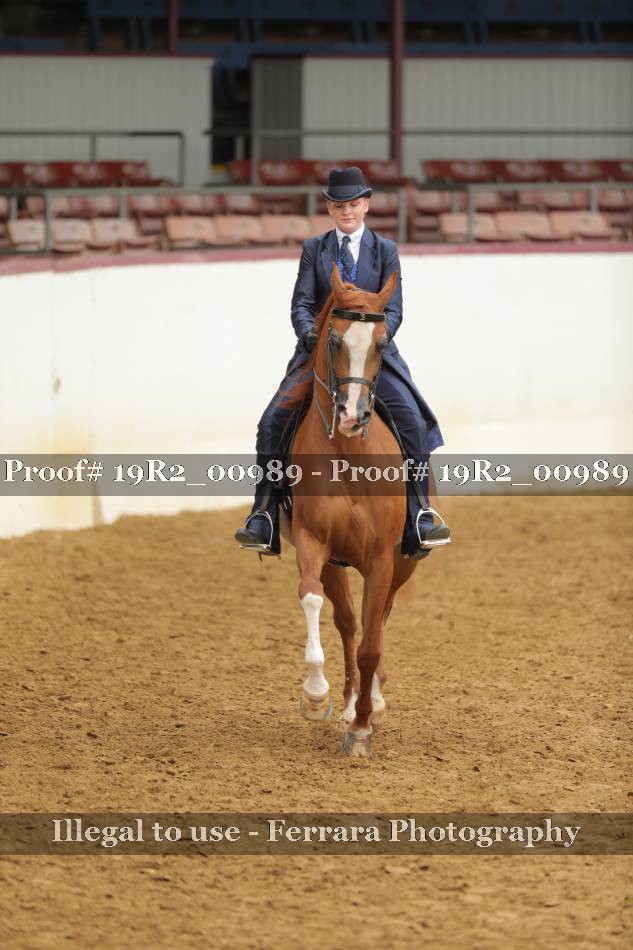 Proof 19R2_00989