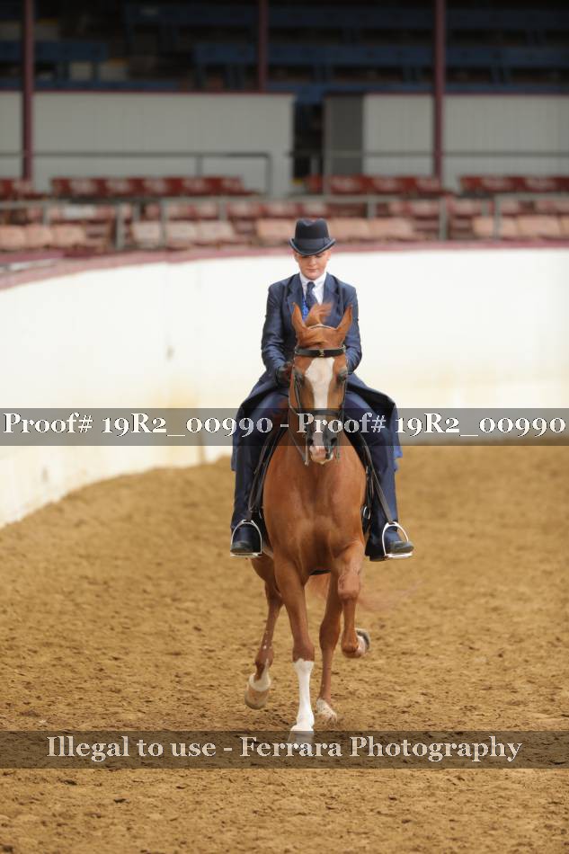Proof 19R2_00990