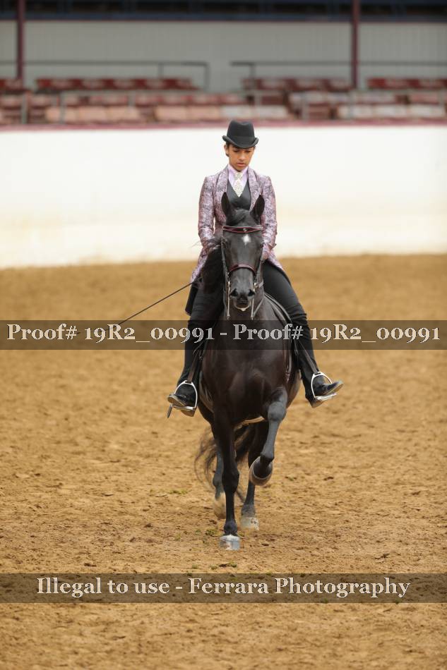 Proof 19R2_00991