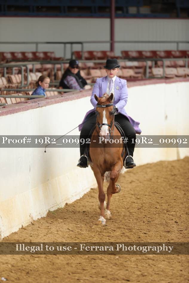 Proof 19R2_00992