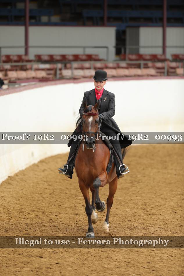 Proof 19R2_00993