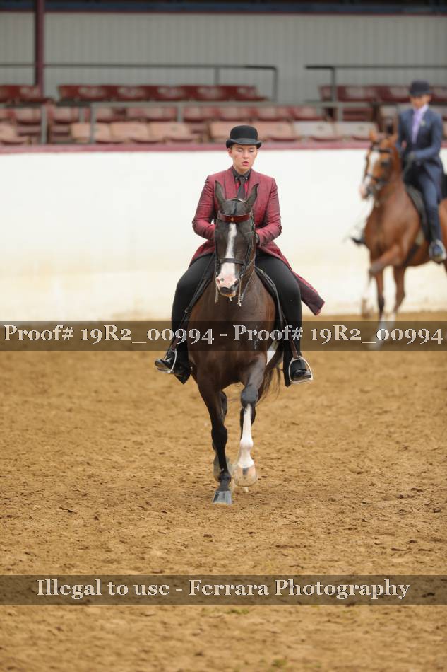Proof 19R2_00994