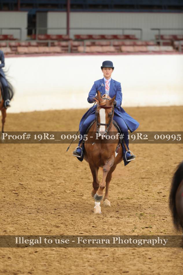 Proof 19R2_00995