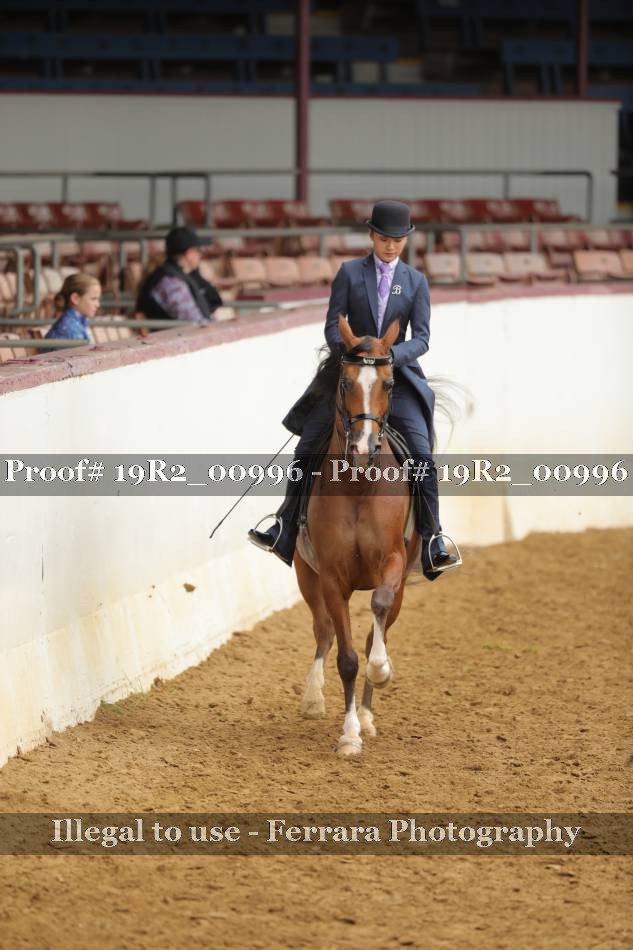 Proof 19R2_00996