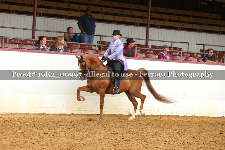 Proof 19R2_00997