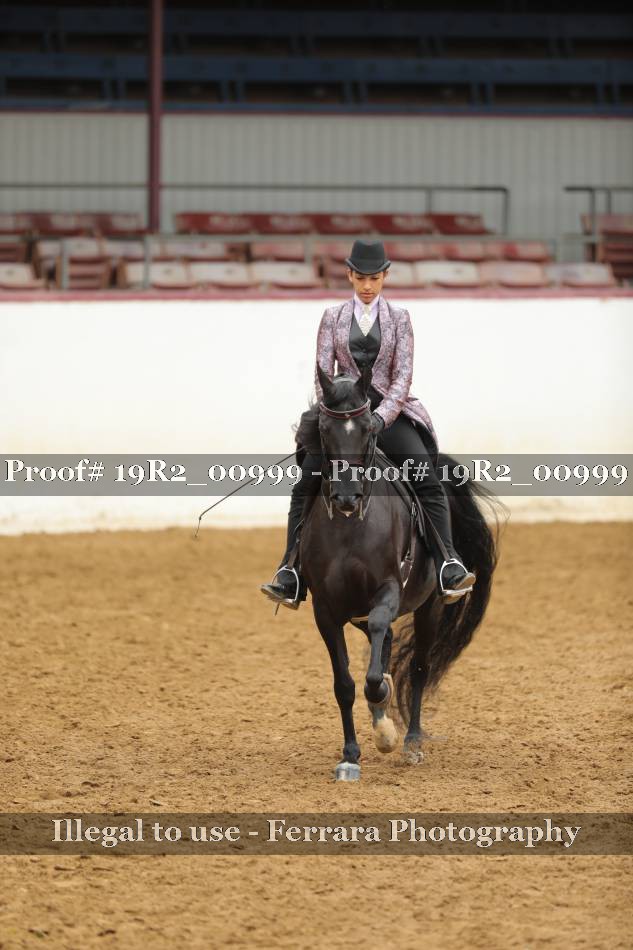 Proof 19R2_00999