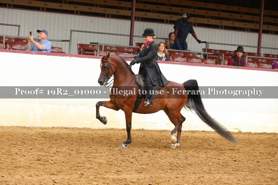 Proof 19R2_01000