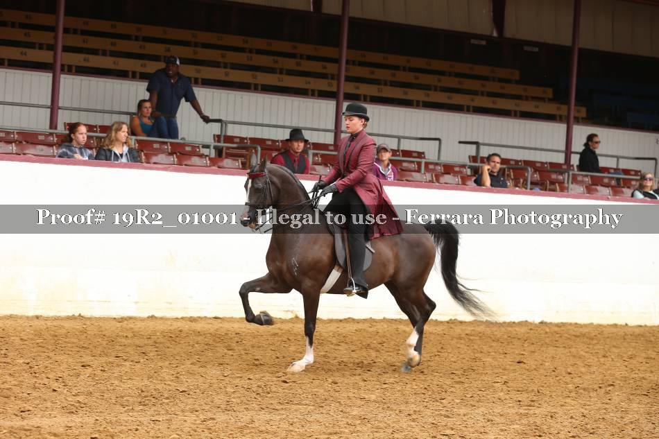 Proof 19R2_01001