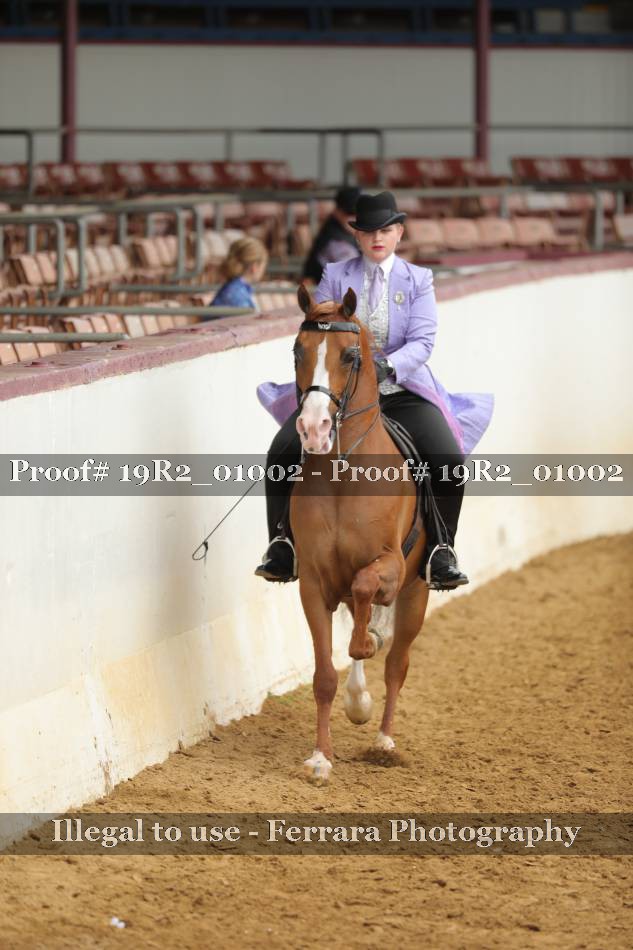 Proof 19R2_01002