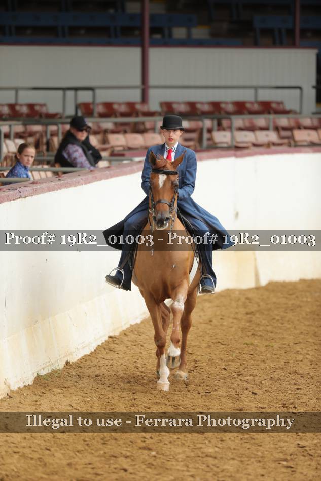 Proof 19R2_01003
