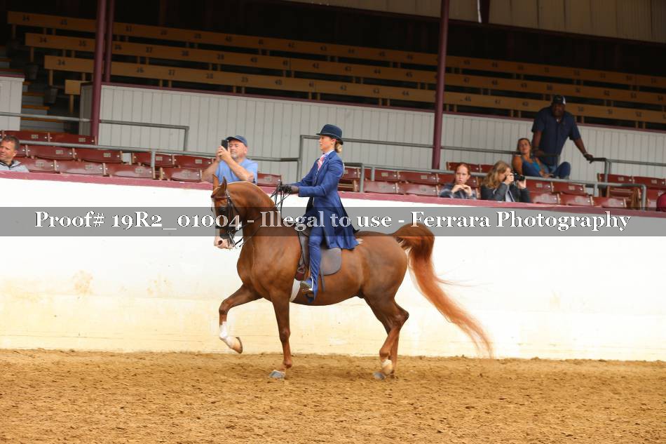 Proof 19R2_01004