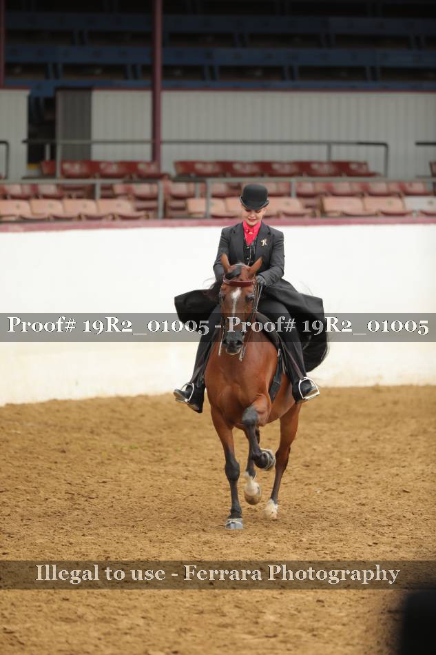 Proof 19R2_01005