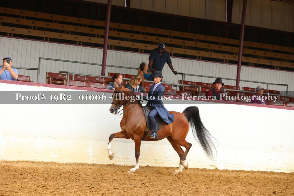 Proof 19R2_01006