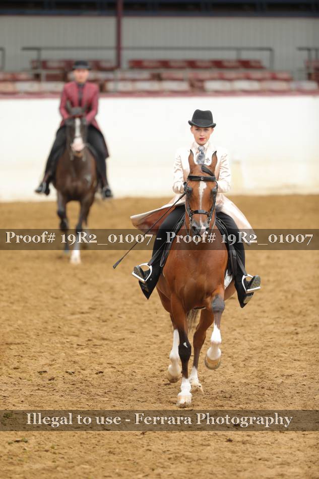 Proof 19R2_01007