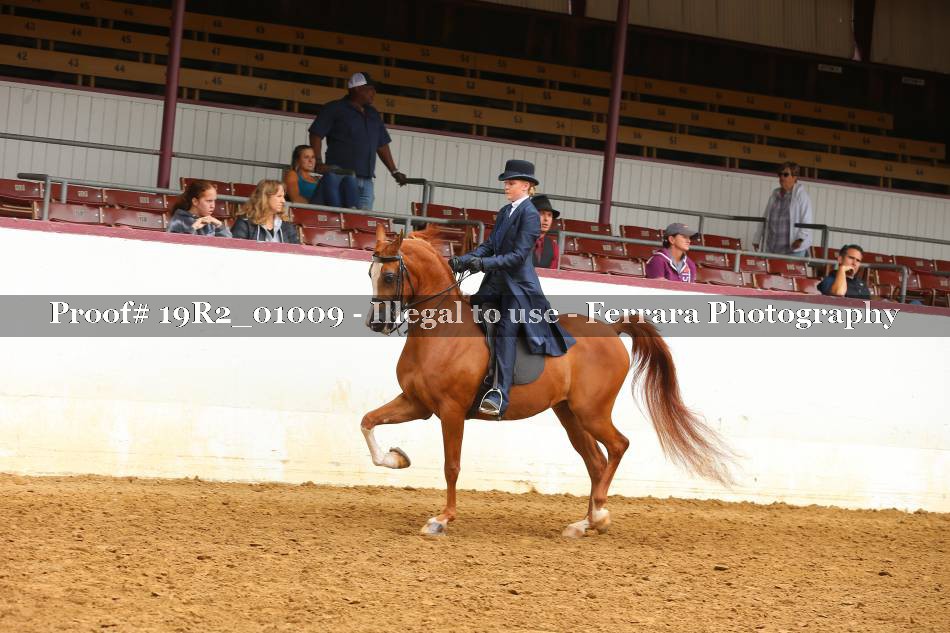 Proof 19R2_01009
