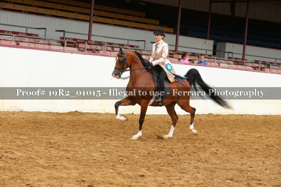 Proof 19R2_01015
