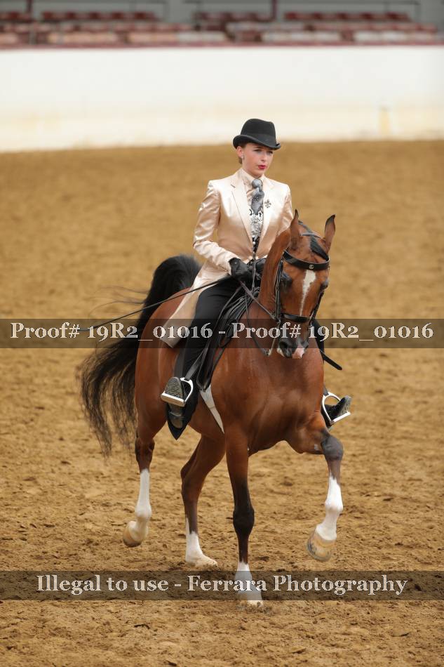 Proof 19R2_01016