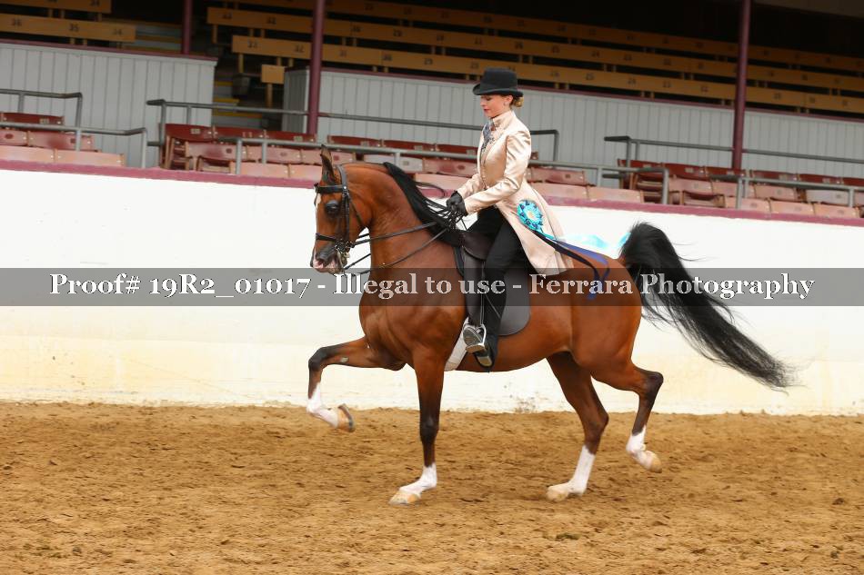 Proof 19R2_01017