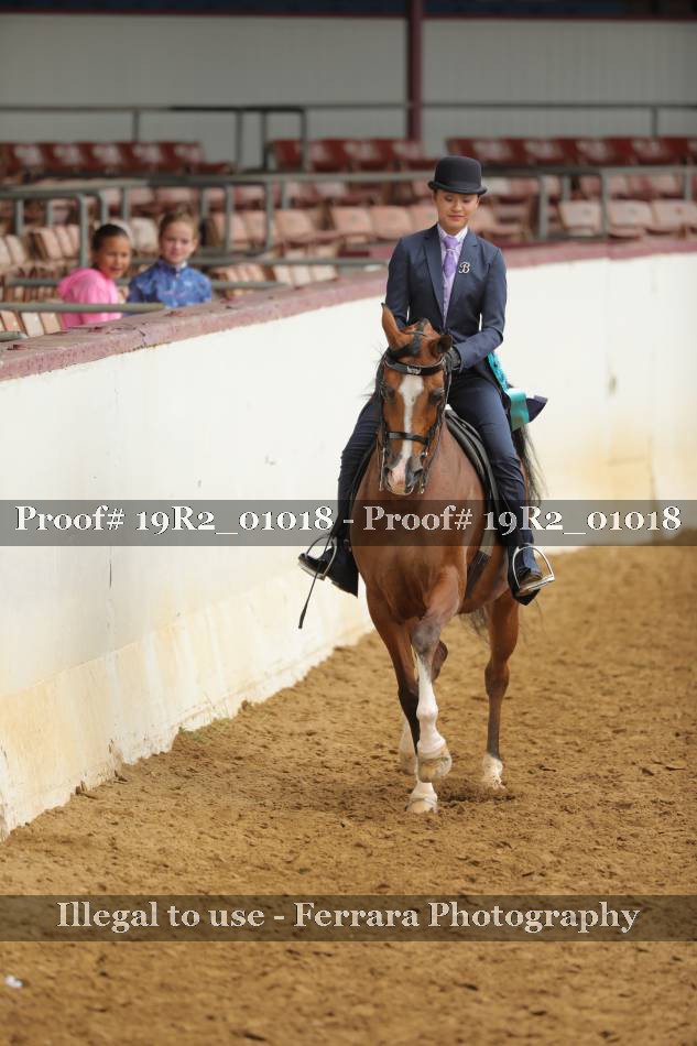 Proof 19R2_01018