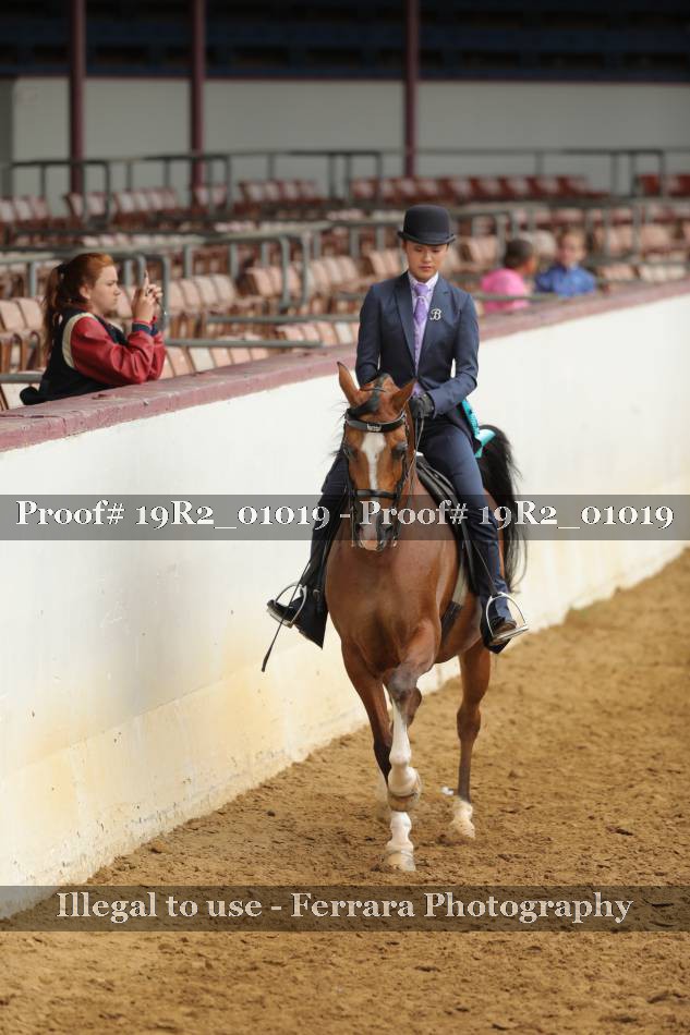 Proof 19R2_01019