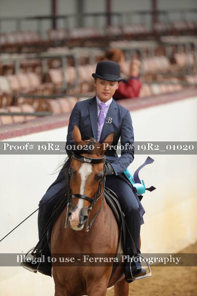 Proof 19R2_01020